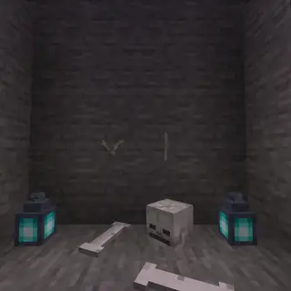 BonesNStuff