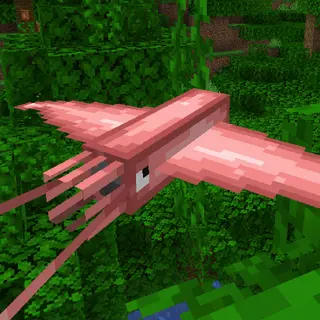 Squid-Birds