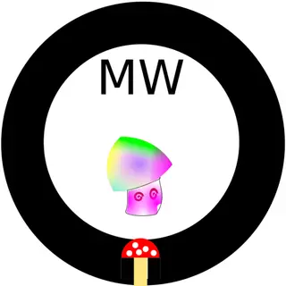 Custom mw mod