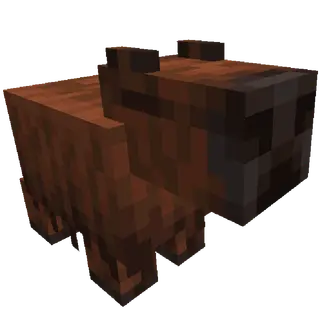 Capybara Companion