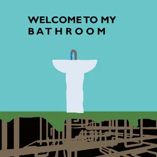 the bathroom sink