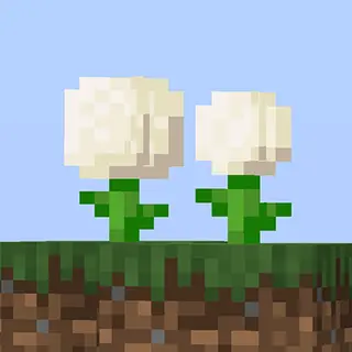 Fluffy Flowers