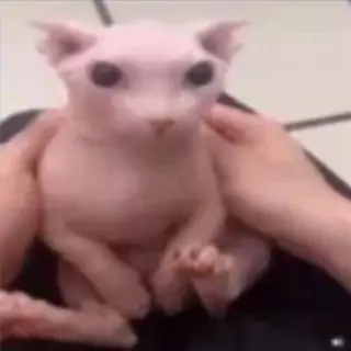Espada pra dedéu