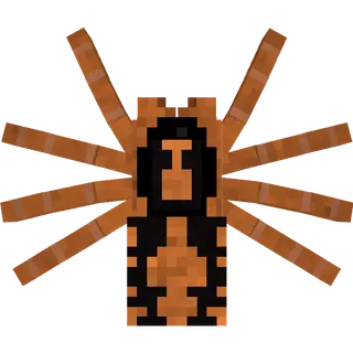 Liko's Tarantulas