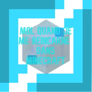 Moi, quand je me réincarne dans un monde de cubes