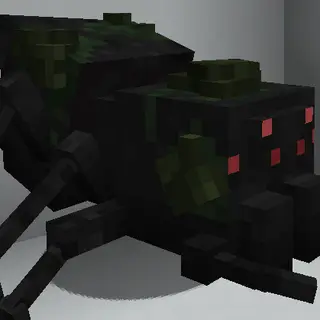 Infected Spider