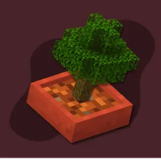 Bonsai Pots