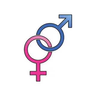 Player Gender Modifications