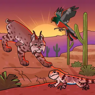 Sonorama