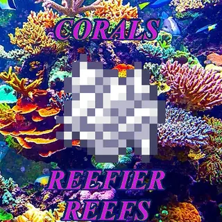 Corals: Reefier Reefs