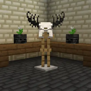 Bone Zone