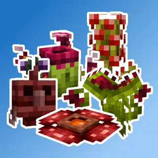 Broglis Plants