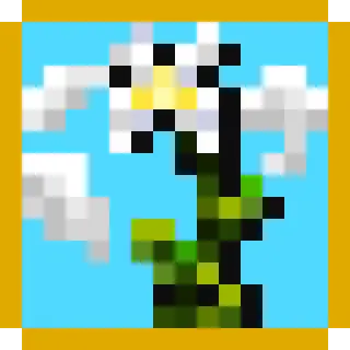 Kaas Crops