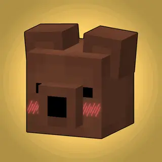 Cute Bears