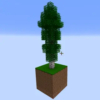 VoidBlock Dimension