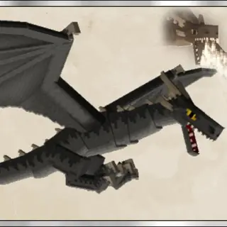 Dragons, Biomes, and Cities