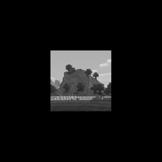 A Forgotten World