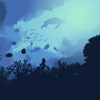 Higher World Deeper Ocean