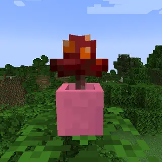 Flower Pots Plus