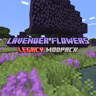 Lavender Flowers (Legacy)