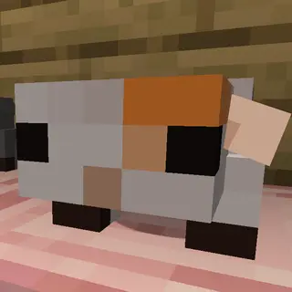 Guinea Pigs