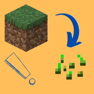 Grass To Seeds