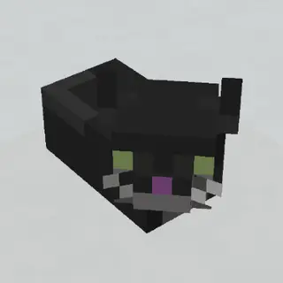 Maxwell The Carryable Cat