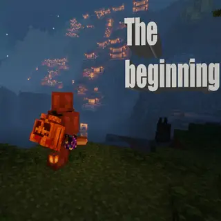 Survivor's Beginnings