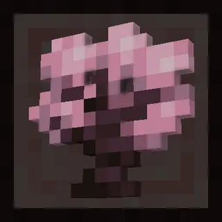 Cherry Good