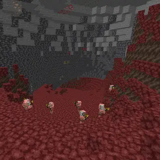 A Lot Of Biomes