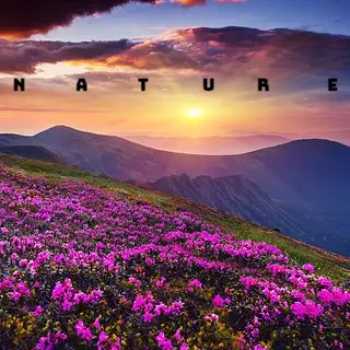 Nature Enhanced