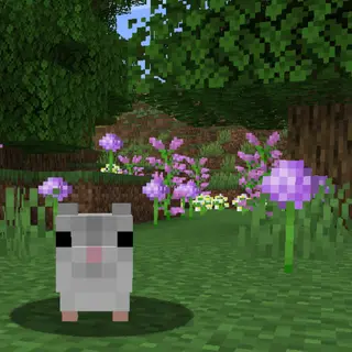 Hamstercraft