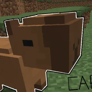 Capybara´s