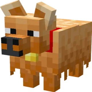 All Bark, All Bite