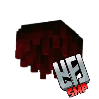 YFL  multi 