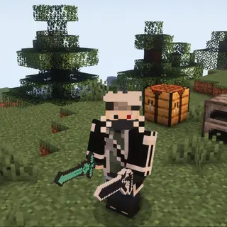 SAO RPG