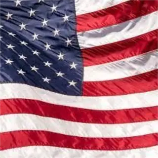 The American Freedom