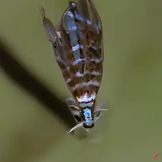 Aquamaritime
