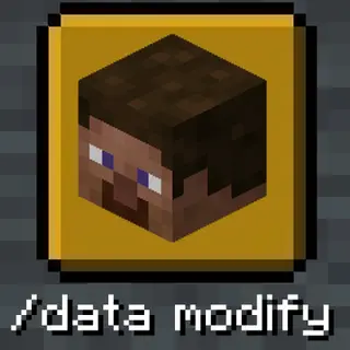 Modifiable players