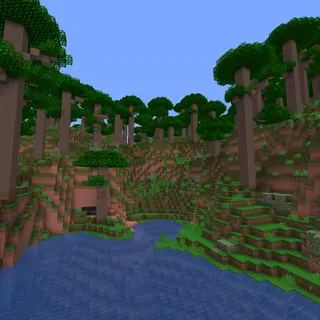 Rainforests