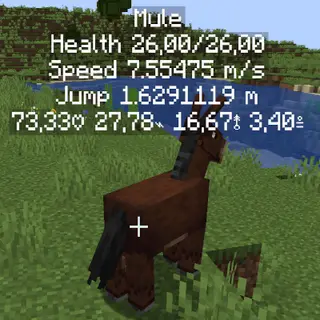Horse stats and more