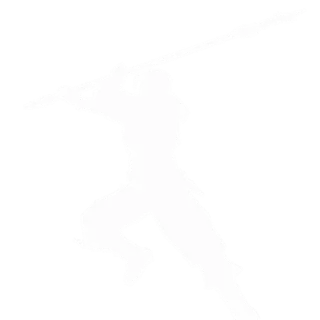 Dynasty Warriors 3 Mine + α