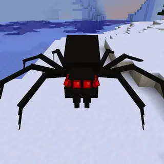 Yawcty's Spiders!