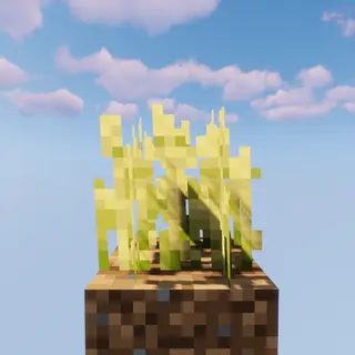 Better Harvesting