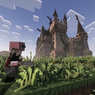 Project - Medieval Times