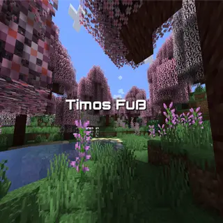 TimohateinFuß