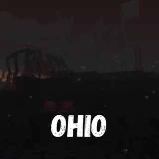 The Ohio Experience