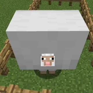 More Sheep Wools