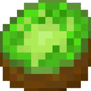 More Fruits