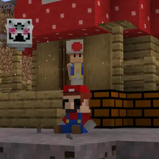 Mario-Craft